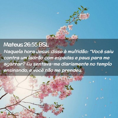Picture 02 - Mateus 26:55 BSL - Naquela hora Jesus disse à multidão: “Você - Bible Verse Picture