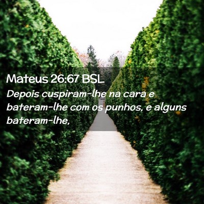 Picture 02 - Mateus 26:67 BSL - Depois cuspiram-lhe na cara e bateram-lhe com os - Bible Verse Picture