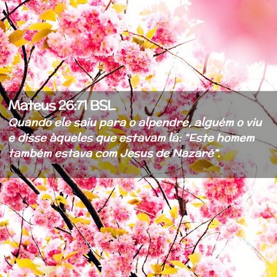Picture 02 - Mateus 26:71 BSL - Quando ele saiu para o alpendre, alguém o viu e - Bible Verse Picture