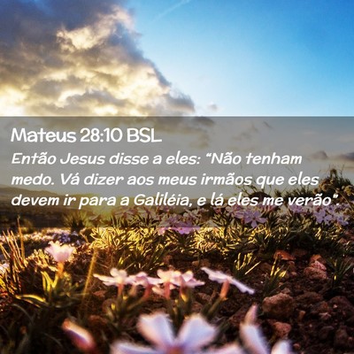 Picture 02 - Mateus 28:10 BSL - Então Jesus disse a eles: “Não tenham medo. - Bible Verse Picture