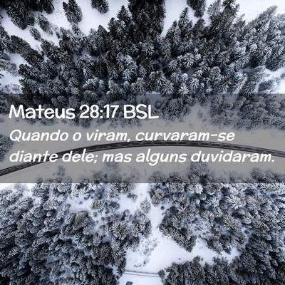Picture 02 - Mateus 28:17 BSL - Quando o viram, curvaram-se diante dele; mas - Bible Verse Picture