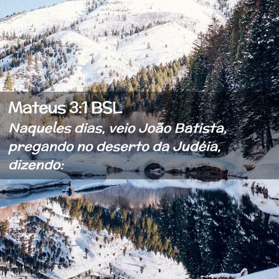 Picture 02 - Mateus 3:1 BSL - Naqueles dias, veio João Batista, pregando no - Bible Verse Picture