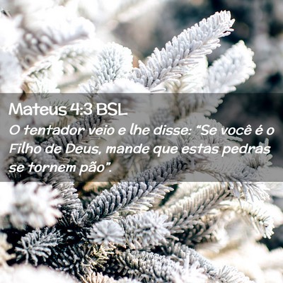 Picture 02 - Mateus 4:3 BSL - O tentador veio e lhe disse: “Se você é o - Bible Verse Picture