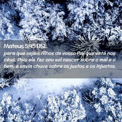 Picture 02 - Mateus 5:45 BSL - para que sejais filhos de vosso Pai que está nos - Bible Verse Picture
