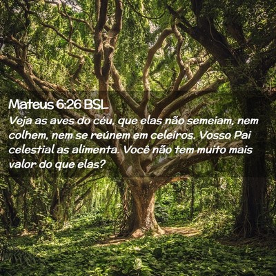 Picture 02 - Mateus 6:26 BSL - Veja as aves do céu, que elas não semeiam, nem - Bible Verse Picture