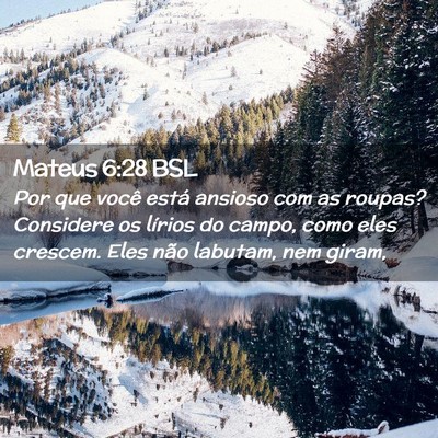 Picture 02 - Mateus 6:28 BSL - Por que você está ansioso com as roupas? - Bible Verse Picture