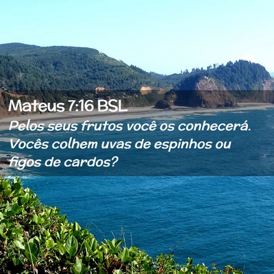 Picture 02 - Mateus 7:16 BSL - Pelos seus frutos você os conhecerá. Vocês - Bible Verse Picture