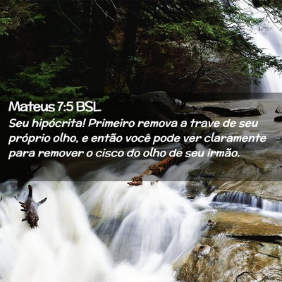 Picture 02 - Mateus 7:5 BSL - Seu hipócrita! Primeiro remova a trave de seu - Bible Verse Picture