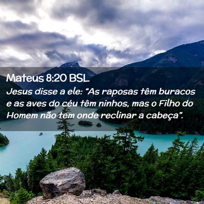 Picture 02 - Mateus 8:20 BSL - Jesus disse a ele: “As raposas têm buracos e - Bible Verse Picture