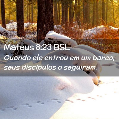 Picture 02 - Mateus 8:23 BSL - Quando ele entrou em um barco, seus discípulos o - Bible Verse Picture