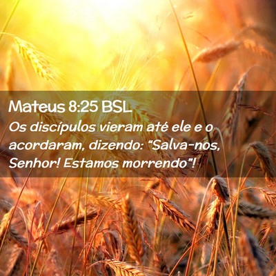 Picture 02 - Mateus 8:25 BSL - Os discípulos vieram até ele e o acordaram, - Bible Verse Picture