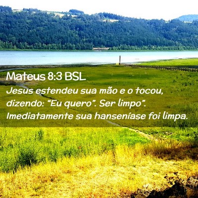 Picture 02 - Mateus 8:3 BSL - Jesus estendeu sua mão e o tocou, dizendo: “Eu - Bible Verse Picture