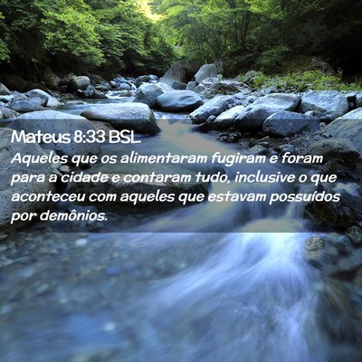 Picture 02 - Mateus 8:33 BSL - Aqueles que os alimentaram fugiram e foram para a - Bible Verse Picture