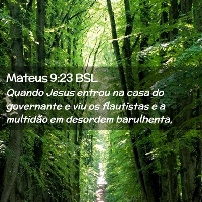 Picture 02 - Mateus 9:23 BSL - Quando Jesus entrou na casa do governante e viu - Bible Verse Picture