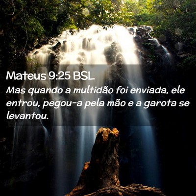 Picture 02 - Mateus 9:25 BSL - Mas quando a multidão foi enviada, ele entrou, - Bible Verse Picture