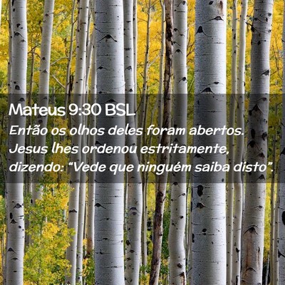 Picture 02 - Mateus 9:30 BSL - Então os olhos deles foram abertos. Jesus lhes - Bible Verse Picture