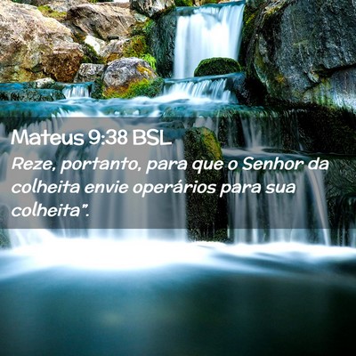 Picture 02 - Mateus 9:38 BSL - Reze, portanto, para que o Senhor da colheita - Bible Verse Picture