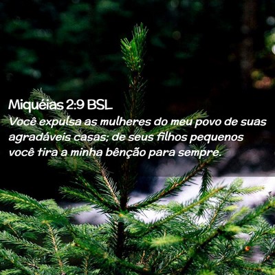 Picture 02 - Miquéias 2:9 BSL - Você expulsa as mulheres do meu povo de suas - Bible Verse Picture