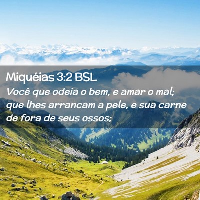 Picture 02 - Miquéias 3:2 BSL - Você que odeia o bem, e amar o mal; que lhes - Bible Verse Picture