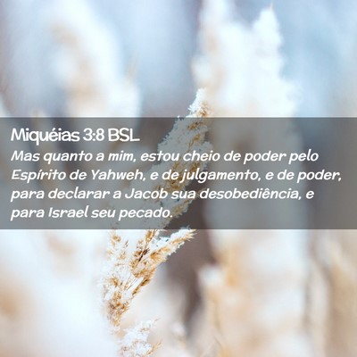 Picture 02 - Miquéias 3:8 BSL - Mas quanto a mim, estou cheio de poder pelo - Bible Verse Picture