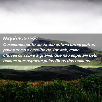 Picture 02 - Miquéias 5:7 BSL - O remanescente de Jacob estará entre muitos - Bible Verse Picture