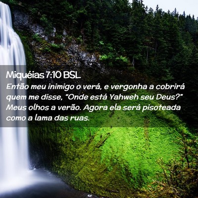 Picture 02 - Miquéias 7:10 BSL - Então meu inimigo o verá, e vergonha a cobrirá - Bible Verse Picture