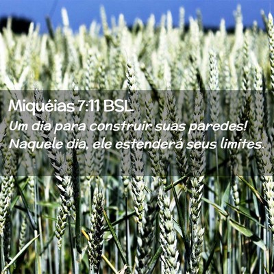 Picture 02 - Miquéias 7:11 BSL - Um dia para construir suas paredes! Naquele dia, - Bible Verse Picture