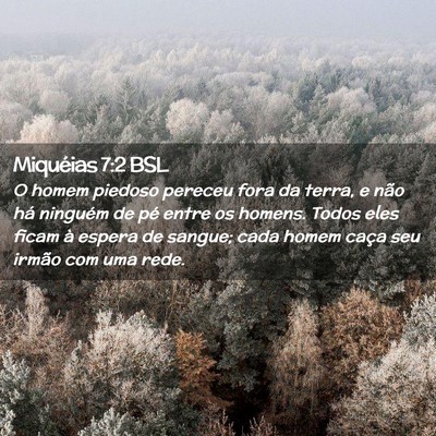 Picture 02 - Miquéias 7:2 BSL - O homem piedoso pereceu fora da terra, e não há - Bible Verse Picture