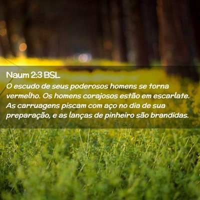 Picture 02 - Naum 2:3 BSL - O escudo de seus poderosos homens se torna - Bible Verse Picture