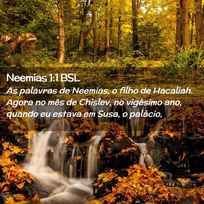 Picture 02 - Neemias 1:1 BSL - As palavras de Neemias, o filho de Hacaliah. - Bible Verse Picture