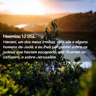 Picture 02 - Neemias 1:2 BSL - Hanani, um dos meus irmãos, veio, ele e alguns - Bible Verse Picture