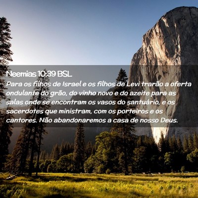 Picture 02 - Neemias 10:39 BSL - Para os filhos de Israel e os filhos de Levi - Bible Verse Picture