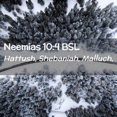 Picture 02 - Neemias 10:4 BSL - Hattush, Shebaniah, - Bible Verse Picture