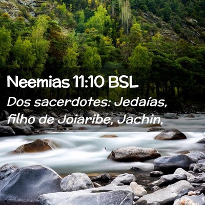 Picture 02 - Neemias 11:10 BSL - Dos sacerdotes: Jedaías, filho de Joiaribe, - Bible Verse Picture