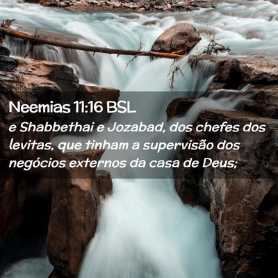 Picture 02 - Neemias 11:16 BSL - e Shabbethai e Jozabad, dos chefes dos levitas, - Bible Verse Picture