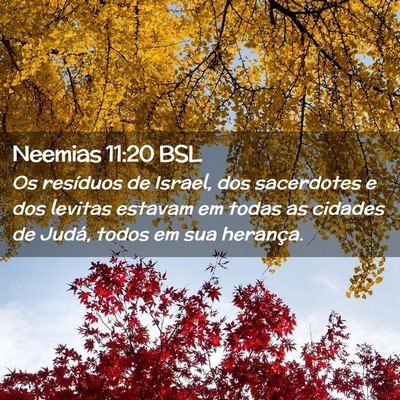 Picture 02 - Neemias 11:20 BSL - Os resíduos de Israel, dos sacerdotes e dos - Bible Verse Picture