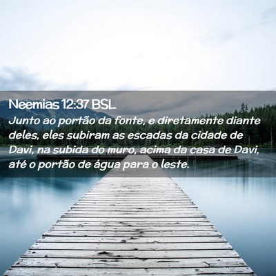 Picture 02 - Neemias 12:37 BSL - Junto ao portão da fonte, e diretamente diante - Bible Verse Picture