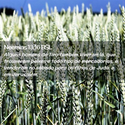 Picture 02 - Neemias 13:16 BSL - Alguns homens de Tiro também viveram lá, que - Bible Verse Picture