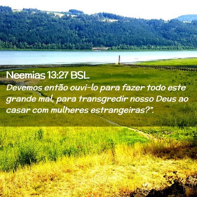 Picture 02 - Neemias 13:27 BSL - Devemos então ouvi-lo para fazer todo este - Bible Verse Picture