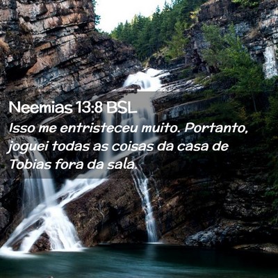 Picture 02 - Neemias 13:8 BSL - Isso me entristeceu muito. Portanto, joguei todas - Bible Verse Picture