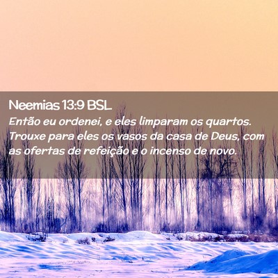 Picture 02 - Neemias 13:9 BSL - Então eu ordenei, e eles limparam os quartos. - Bible Verse Picture