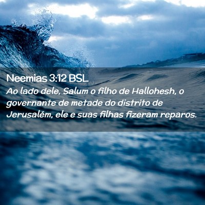 Picture 02 - Neemias 3:12 BSL - Ao lado dele, Salum o filho de Hallohesh, o - Bible Verse Picture