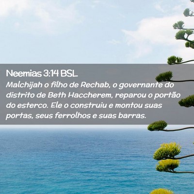 Picture 02 - Neemias 3:14 BSL - Malchijah o filho de Rechab, o governante do - Bible Verse Picture