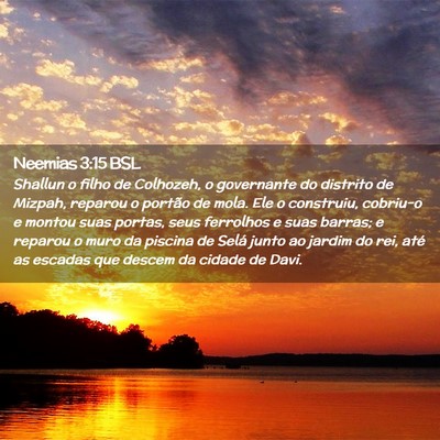 Picture 02 - Neemias 3:15 BSL - Shallun o filho de Colhozeh, o governante do - Bible Verse Picture