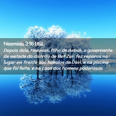 Picture 02 - Neemias 3:16 BSL - Depois dele, Neemias, filho de Azbuk, o - Bible Verse Picture
