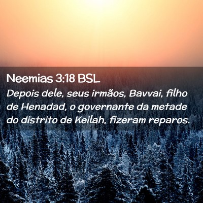 Picture 02 - Neemias 3:18 BSL - Depois dele, seus irmãos, Bavvai, filho de - Bible Verse Picture