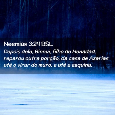 Picture 02 - Neemias 3:24 BSL - Depois dele, Binnui, filho de Henadad, reparou - Bible Verse Picture