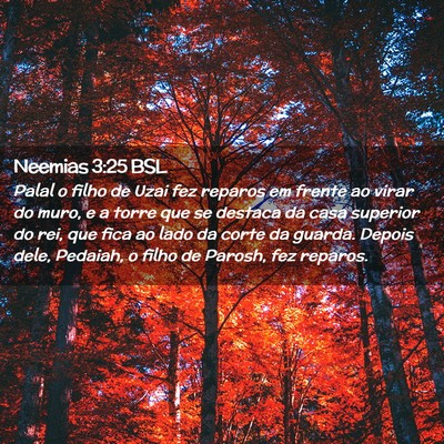Picture 02 - Neemias 3:25 BSL - Palal o filho de Uzai fez reparos em frente ao - Bible Verse Picture