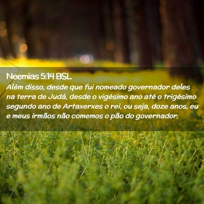 Picture 02 - Neemias 5:14 BSL - Além disso, desde que fui nomeado governador - Bible Verse Picture