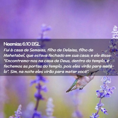 Picture 02 - Neemias 6:10 BSL - Fui à casa de Semaías, filho de Delaías, filho - Bible Verse Picture